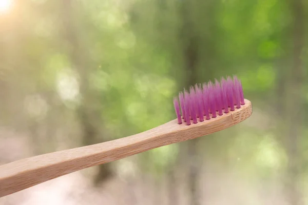 Bambu Diş Fırçaları Doğanın Arka Planına Yakın Plan Yeşil Bokeh — Stok fotoğraf