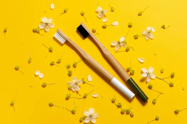 Sarı Arka Planda Iki Bambu Diş Fırçası Kiraz Çiçekleri Çevre — Stok fotoğraf