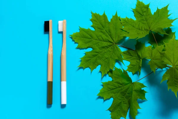 Two Bamboo Toothbrushes Lie Green Leaflets Blue Background Eco Friendly — Stock Photo, Image