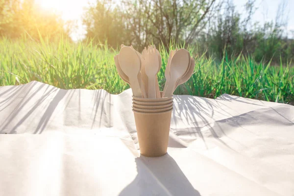 disposable biodegradable tableware on craft paper in nature. biodegradable spoons, forks and knives made of wood. eco friendly. modern replacement for plastic.