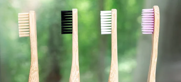 Bambu Diş Fırçaları Doğanın Arka Planına Yakın Çekim Yapar Yeşil — Stok fotoğraf