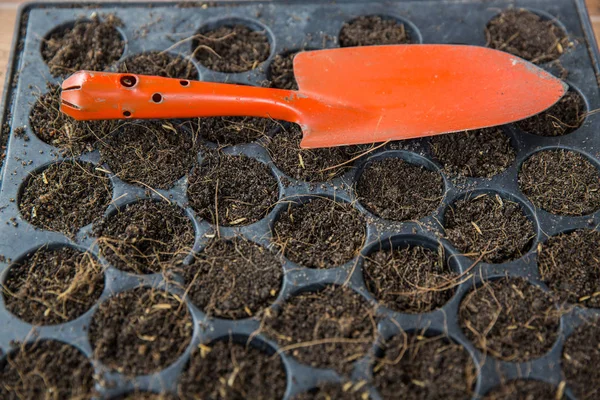 Schep op de aanplant van dienbladen — Stockfoto