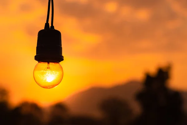 Light bulb on nature sunrise background, Energy and environment