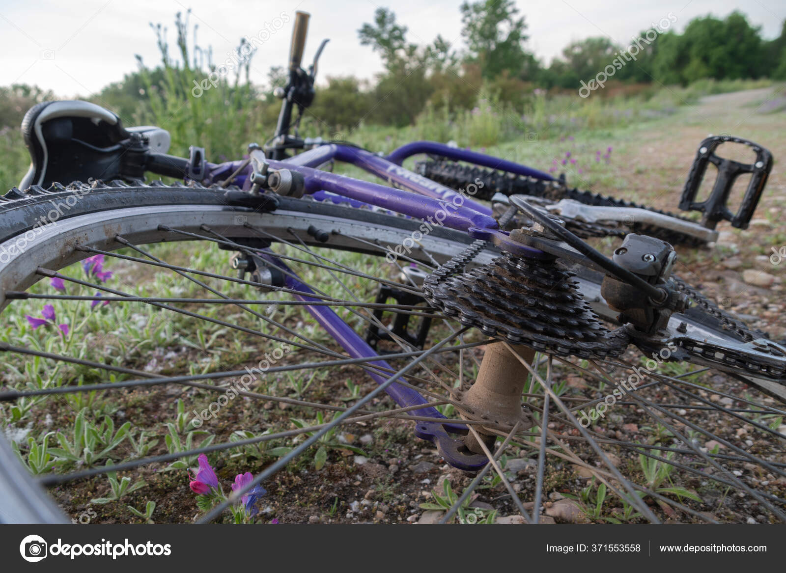 bike on the ground