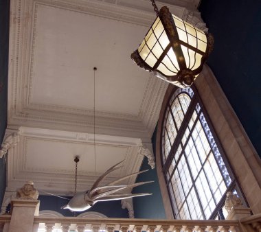 Monako Okyanus Müzesi 07 Ekim 2009. Dev mürekkep balığı maketi. Sepiida tarikatının deniz yumuşakçaları. Aynı zamanda mürekkep balığı, ahtapot ve nautilusları da içeren Sefalopoda sınıfına aitler..