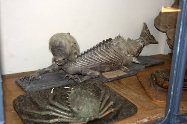 Monako Okyanus Müzesi 07 Ekim 2009. Bir Fiji denizkızı. Gövdeden ve balığın arkasına dikilmiş genç bir maymunun kafasından oluşan sahte bir nesne..