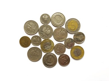 Beyaz arkaplanda Polonya zloti paraları.