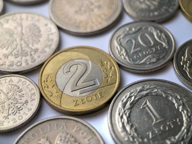 Beyaz arkaplanda Polonya zloti paraları.