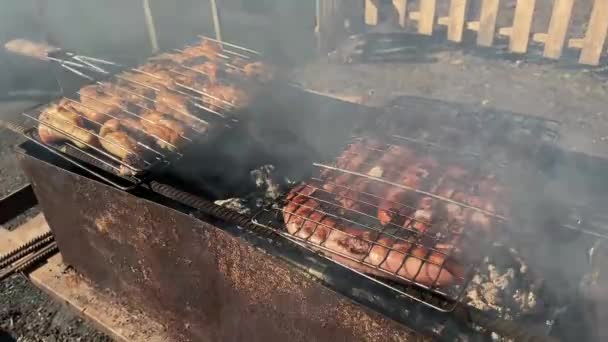 Barbacoa Pollo Salchichas Parrilla Descanso Naturaleza Barbacoa — Vídeos de Stock