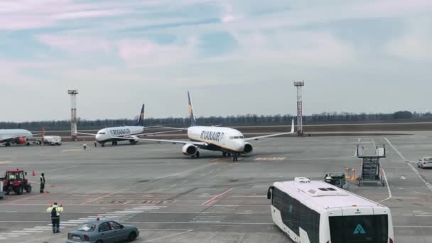 Pesawat Dari Maskapai Penerbangan Irlandia Ryanair Boeing 737 Melayani Pendaratan — Stok Video