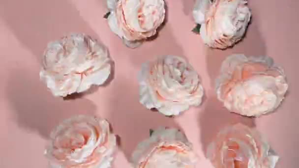 Spinning Dancing Peonies Flowers Stop Motion Animation — Stock Video
