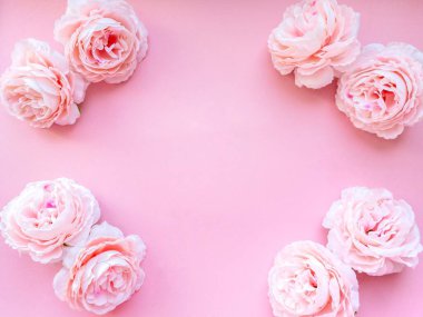 Çerçeve şeklinde narin pembe şakayık çiçekleri, projeleriniz için romantik bir arka plan. Güzellik konsepti. 