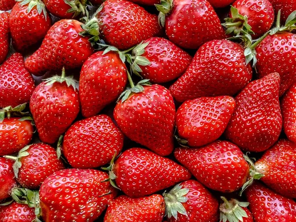 Flatlay from a large number of strawberries. Natural background.