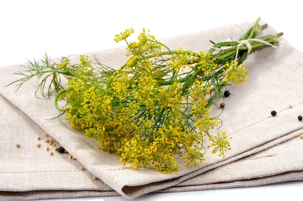 Bunch of dill  with linen napkin on white  background — Stock Photo, Image