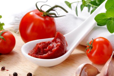 salça sosu malzemeler ile porselen kaşık yakın çekim içinde
