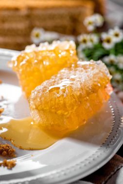 sıvı bal yakın çekim ile beyaz tabakta peteğin parçaları 