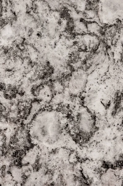 Natural gray granite slab close-up  background