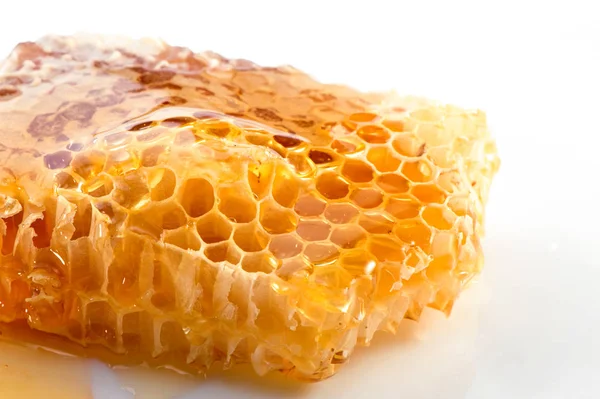 Honeycomb Pjäs Med Honung Närbild Vit Bakgrund — Stockfoto