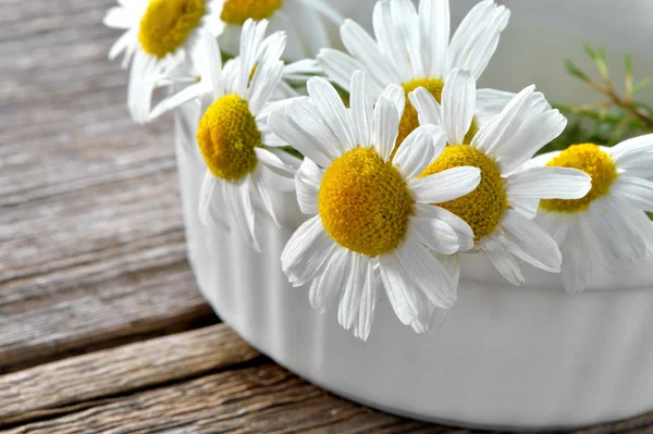 Heldere Kamille Bloemen Witte Keramische Ware Close Natuurlijke Houten Planken — Stockfoto