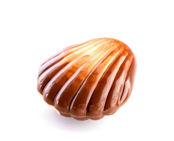 Belgian Seashell Traditional Chocolate Candy Close Isolated White Background — Stock Photo, Image