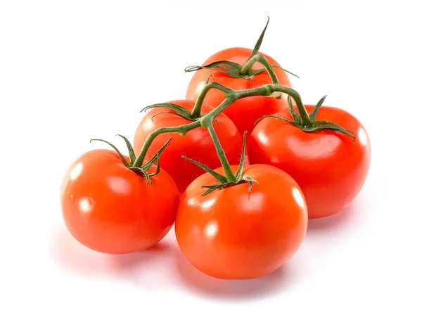 Ramo Pomodoro Rosso Primo Piano Isolato Sfondo Bianco Con Ombra — Foto Stock