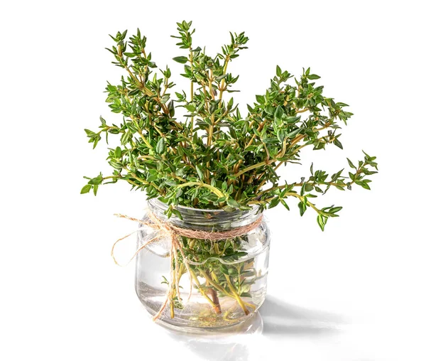 Bunch Thyme Glass Jar Decorated Twine Isolated White Background — Stock Photo, Image