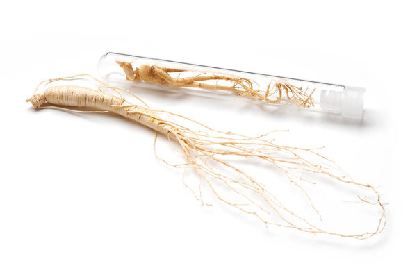 два корня женьшеня крупным планом один на белом фоне второй в закрытой стеклянной трубе
 