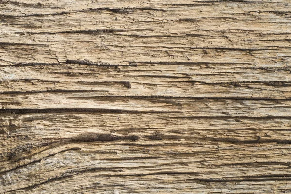Abstract texture of an old wooden plank — Stock Photo, Image