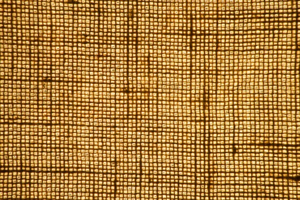 Textura de tela de arpillera retroiluminada para fondo — Foto de Stock