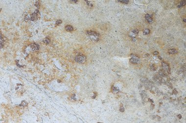 Kahverengi tonda küçük daireler çizen gri bir kireçtaşı. Zarif arkaplan için