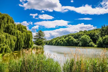 Lake Dzban içinde vahşi Sarka - Prag, Çek Cumhuriyeti