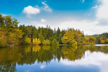 Svycar gölet - Voderady, Çek Cumhuriyeti