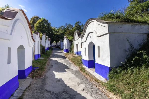 Traditionella vinkällare - Plze, Tjeckien — Stockfoto