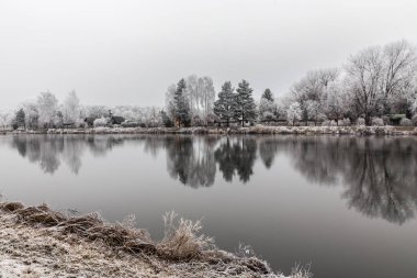 Frozen Nature By River Elbe-Celakovice, Czech Rep. clipart
