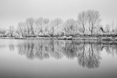 Dondurulmuş doğa tarafından River Elbe-Celakovice, Çek Cumhuriyeti.