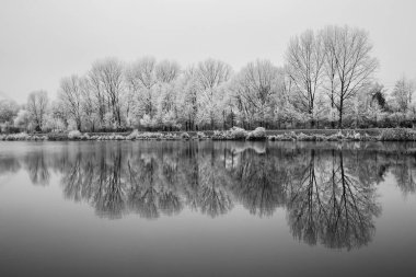Dondurulmuş doğa tarafından River Elbe-Celakovice, Çek Cumhuriyeti.