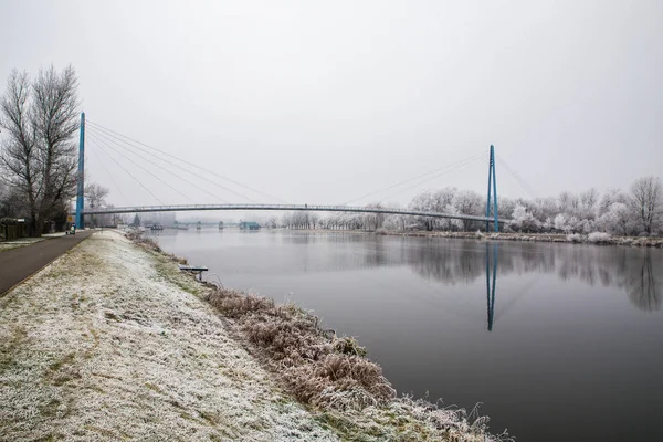 Natura congelata lungo il fiume Elba Celakovice, Repubblica Ceca . — Foto Stock