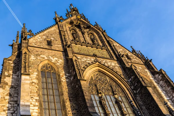 Katedra Świętego Piotra i Pawła Brno, Republika Czeska — Zdjęcie stockowe