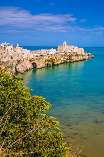 Eski Kasaba Vieste Gargano Yarımadası Apulia Bölgesi Talya Avrupa — Stok fotoğraf