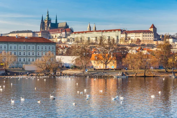 Prague Castle - Prag, Çek Cumhuriyeti, Europe — Stok fotoğraf