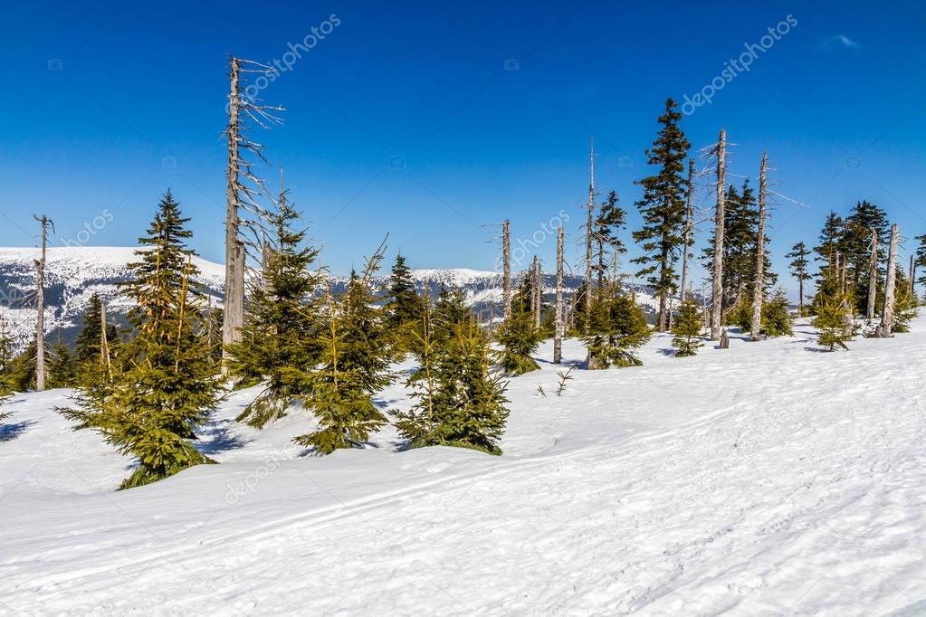 Krkonose (Giant Mountains) In Winter - Czechia