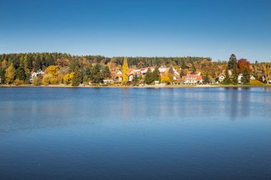 Voderady Beechwood, Çekya renkli sonbahar