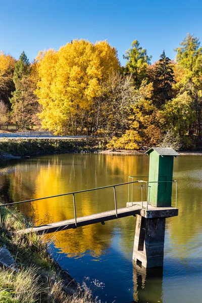 Colorful Autumn In Voderady Beechwood, Czechia — Stock Photo, Image