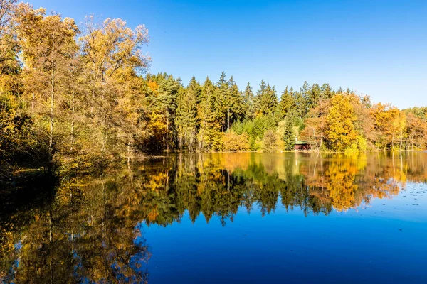 Colorful Autumn In Voderady Beechwood, Czechia — Stock Photo, Image