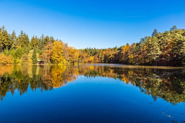 Voderady Beechwood, Çekya renkli sonbahar — Stok fotoğraf