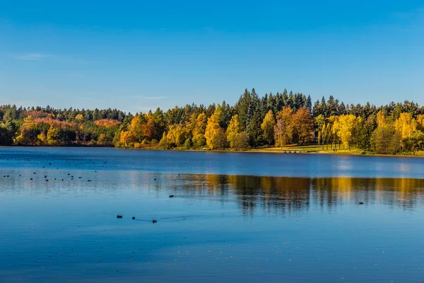 Colorful Autumn In Voderady Beechwood, Czechia — Stock Photo, Image