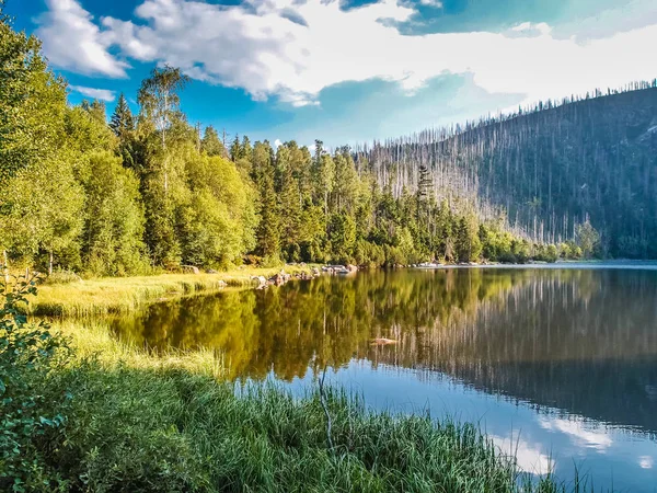 Cerne Jezero - národní Park Šumava, Česká republika — Stock fotografie