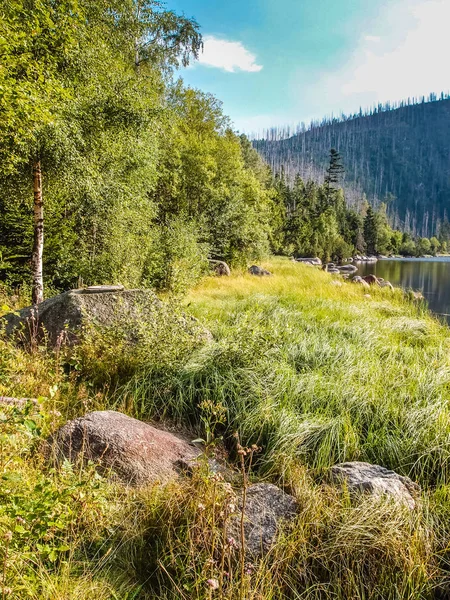 Cerne Jezero - Sumava Milli Parkı, Çek Cumhuriyeti — Stok fotoğraf