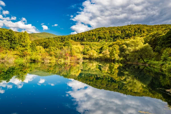 Reflection In Una River- Croatia and Bosnia Border — стокове фото