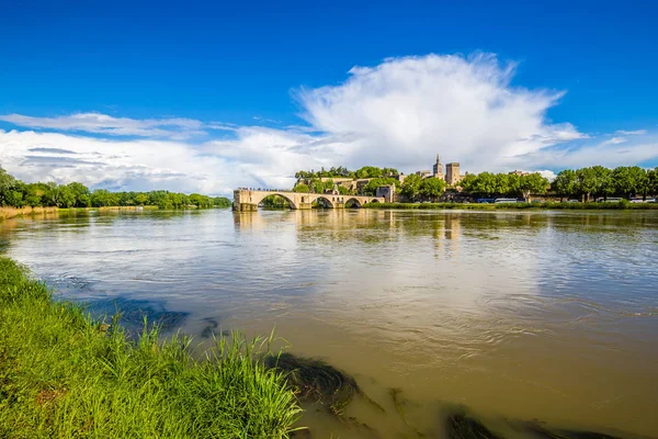 Cathédrale d'Avignon et fleuve Rhône - Avignon, France — Photo